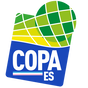 Copa Espírito Santo