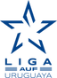 Copa De La Liga Auf