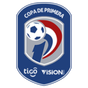 Division Profesional - Apertura