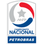 Primera División
