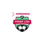 1. Liga