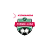 1. الدوري