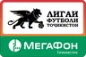 الدوري الرئيسي