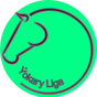 Ýokary Liga