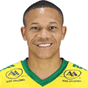 Wellington Alves da Silva