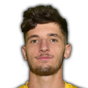 T. Gorenc Stankovic