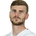 T. Werner
