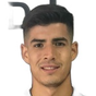 G. Collao