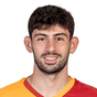Y. Demir