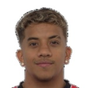 Vinicius Paiva