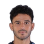 H. Fathy