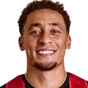 M. Tavernier