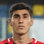 G. Altıparmak