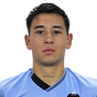 N. Garrido