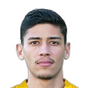 Gabriel Gomes