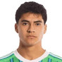 O. Vargas
