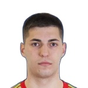F. Domazetovic