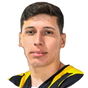 F. Quaglio