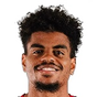 N. Lemina