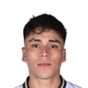 D. Pizarro