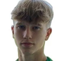 Ииро Мендолин