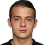 N. Mihajlović