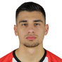 F. Loshaj