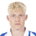 N. De Ridder