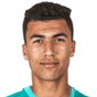 Z. Labib