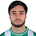 L. Palavecino