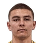 I. Avramidis