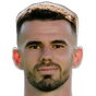 N. Pîrvulescu