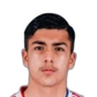 M. de Carvalho