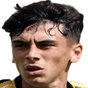 Diego Pugno