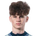 ה. גריי