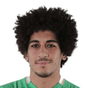 H. El Sayed