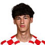 M. Ćutuk