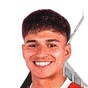 J. De Irastorza