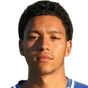 R. Carvalho