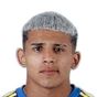 L. Flores