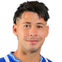 N. Fernandez