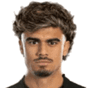 Joao Pedro Neves Filipe