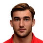 L. Malesevic
