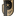 بيوريا