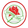 Adamstown Rosebuds
