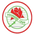 Adamstown Rosebuds