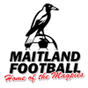 Maitland
