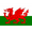 Wales U19