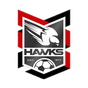 Holland Park Hawks