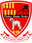 Bedlington Terriers FC